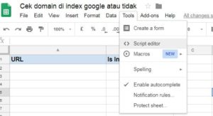 script editor